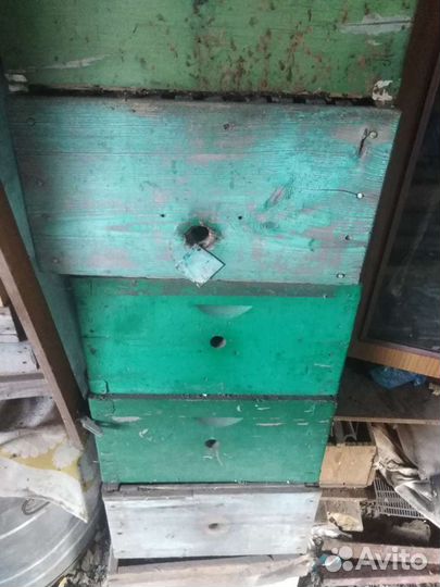 Продам ульи