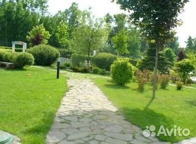 Продажа Рулонного газона