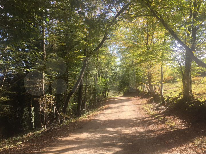 Участок 4,1 сот. (СНТ, ДНП)