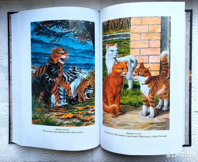 Коты воители 