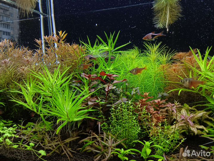 Украшение для аквариума