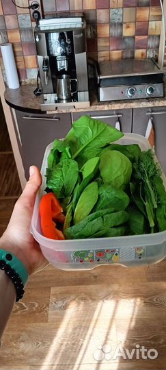 Умный холодильник Tupperware 1,8л