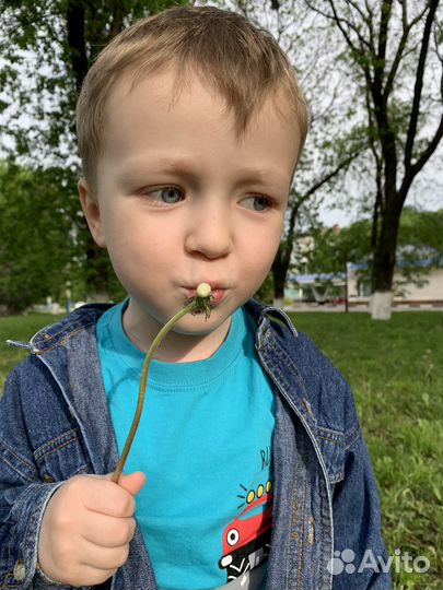 Няня для ребенка