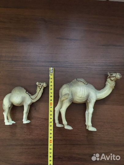 Сувенир Верблюды