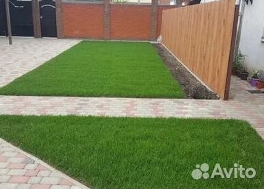 Рулонный газонУкладка Рулонного газонаГазон от про