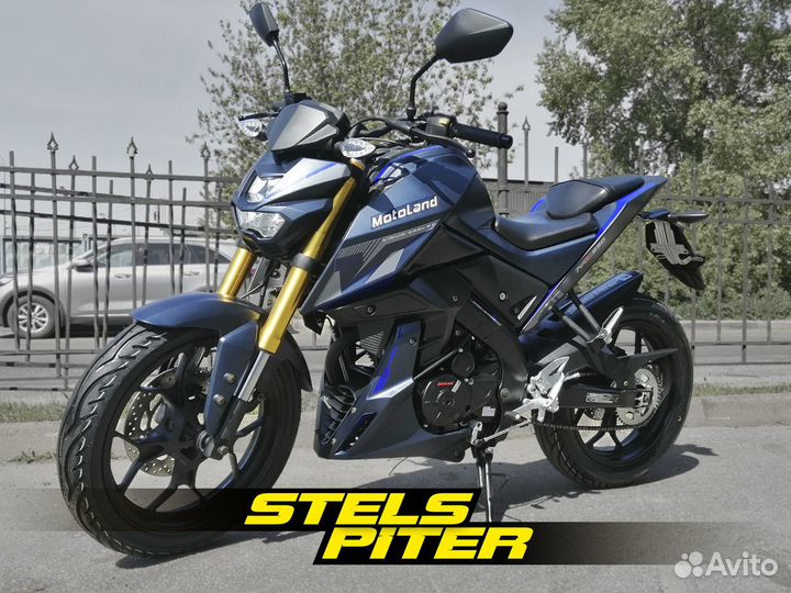 Мотоцикл MotoLand MT250