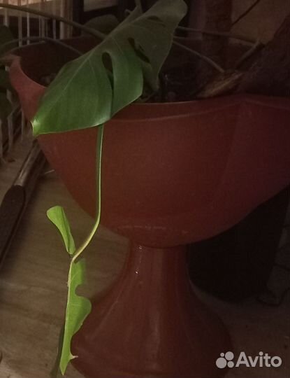 Горшок для цветов