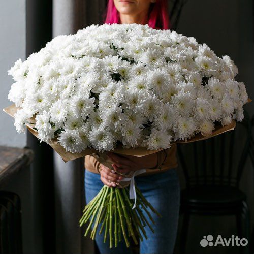 Хризантема белая букет на доставку