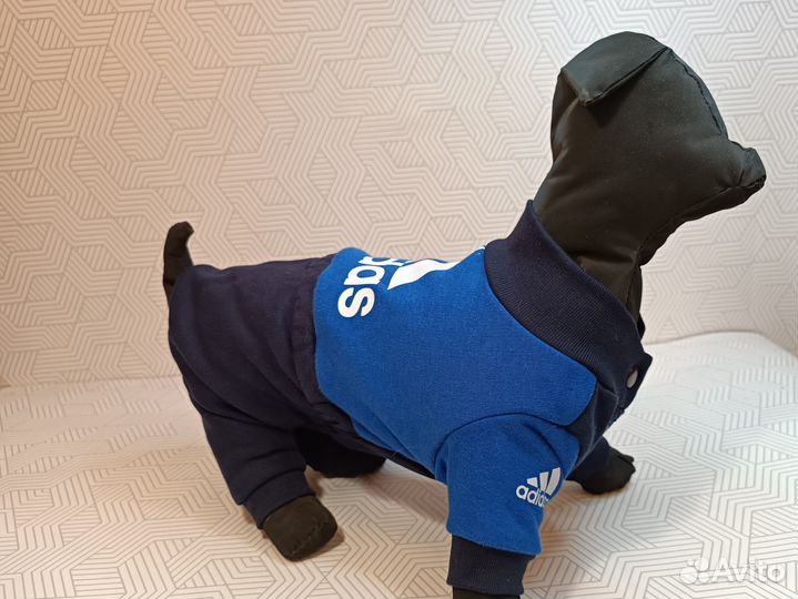 Одежда для собак