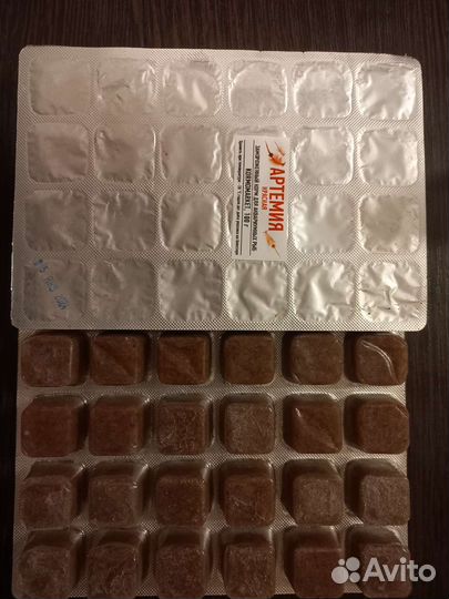 Артемия свежайшая,Циклоп и др.корма