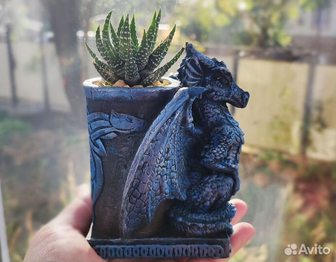 Суккулент в кашпо в виде дракона