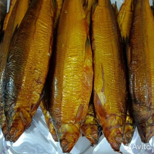 Рыба сиг горячего копчения из Армении