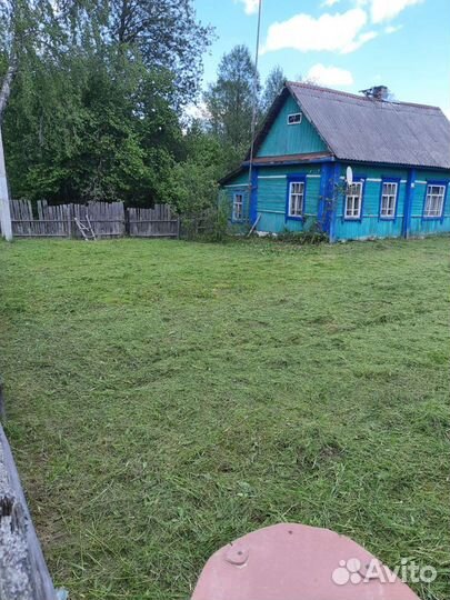 Покос травы триммером