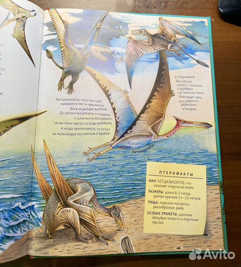 Такие разные динозавры