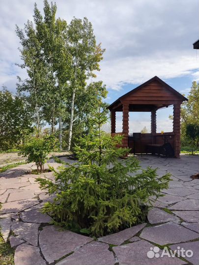 Сдам баню на дровах на берегу реки