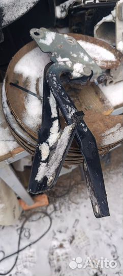 Петли капота флюенс