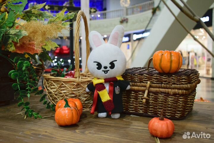 Одежда для skzoo