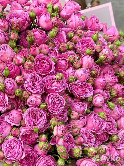 Роза кустовая пион 80 см премиум букет доставка