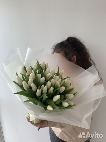 Тюльпаны нежные