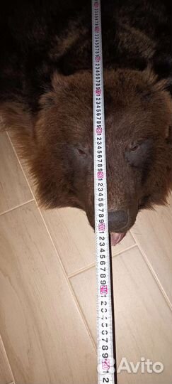 Шкура медведя (имитация)