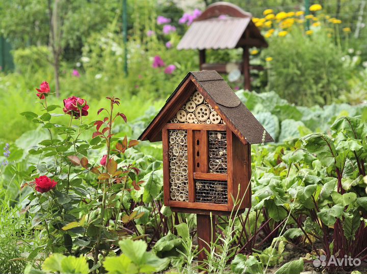 Домики для божьих коровок и др.насекомых