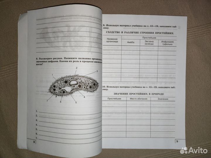 Рабочая тетрадь Биология 8 класс
