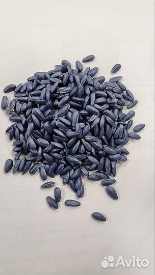 Протравливание, инкрустация семян, дражирование