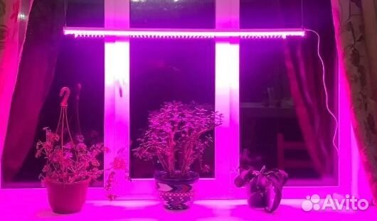 Фитолампа для растений и расады. Фитосветильник