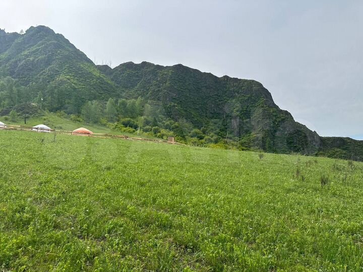 Участок 1,5 га (СНТ, ДНП)