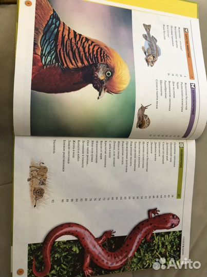 Энциклопедия школьника «Животные», атлас по биолог