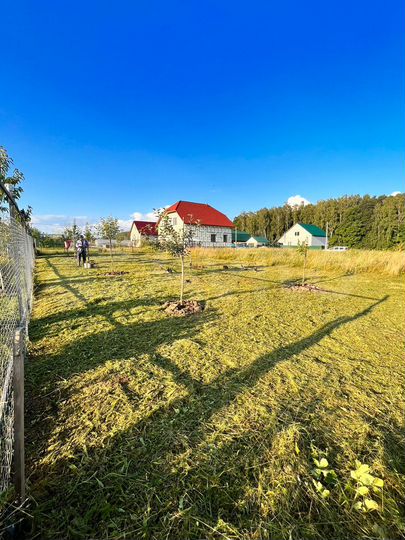 Участок 10 сот. (ИЖС)