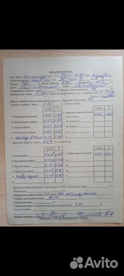 Семена кукурузы дкс3939,3169, подсолнечника