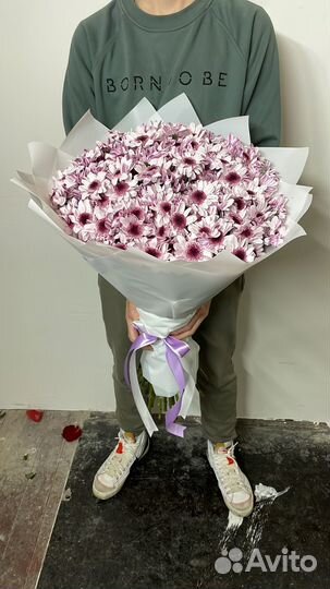 Хризантемы Цветы в Букете 11 25 51