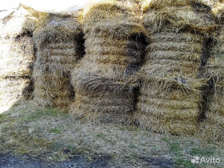 Солома.Возможна доставка по району