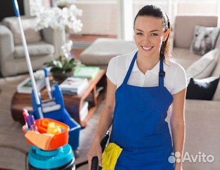 Домашняя помощница