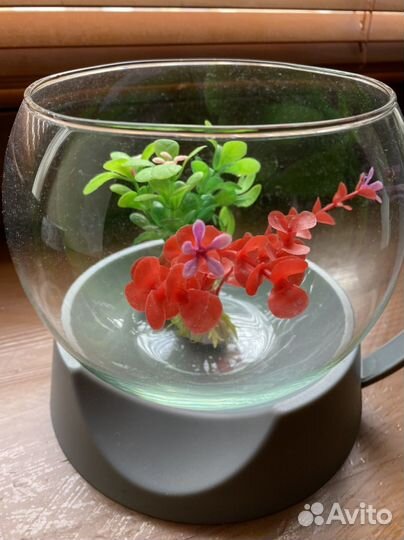 Аквариум 1,8 л для рыбок-петушков