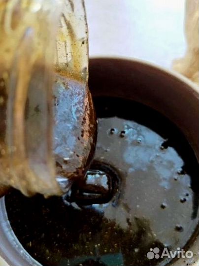 Медовый эликсир для мужского здоровья