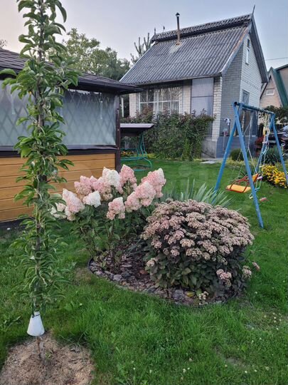 Дача 50 м² на участке 6 сот.