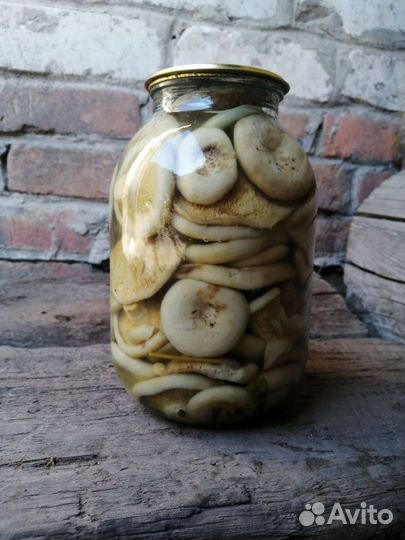 Белые грузди