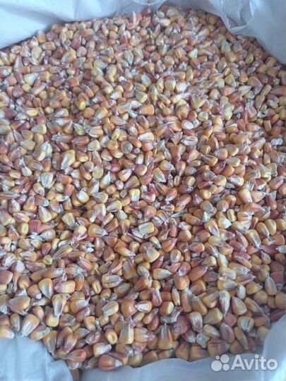 Овёс,ячмень,втм,пшеница