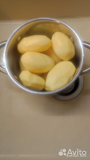 Картофель отборный сорт 