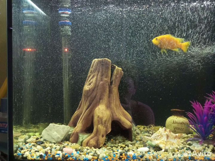 Аквариум