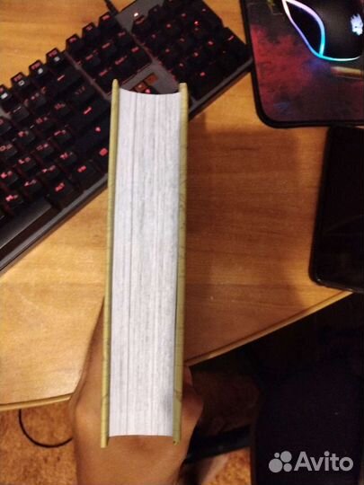 Книга манго Ван пис