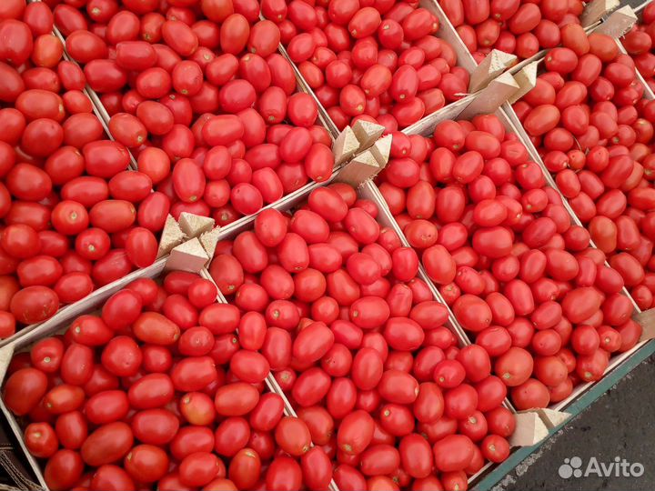 Виноград Изабелла цена кг 70руб