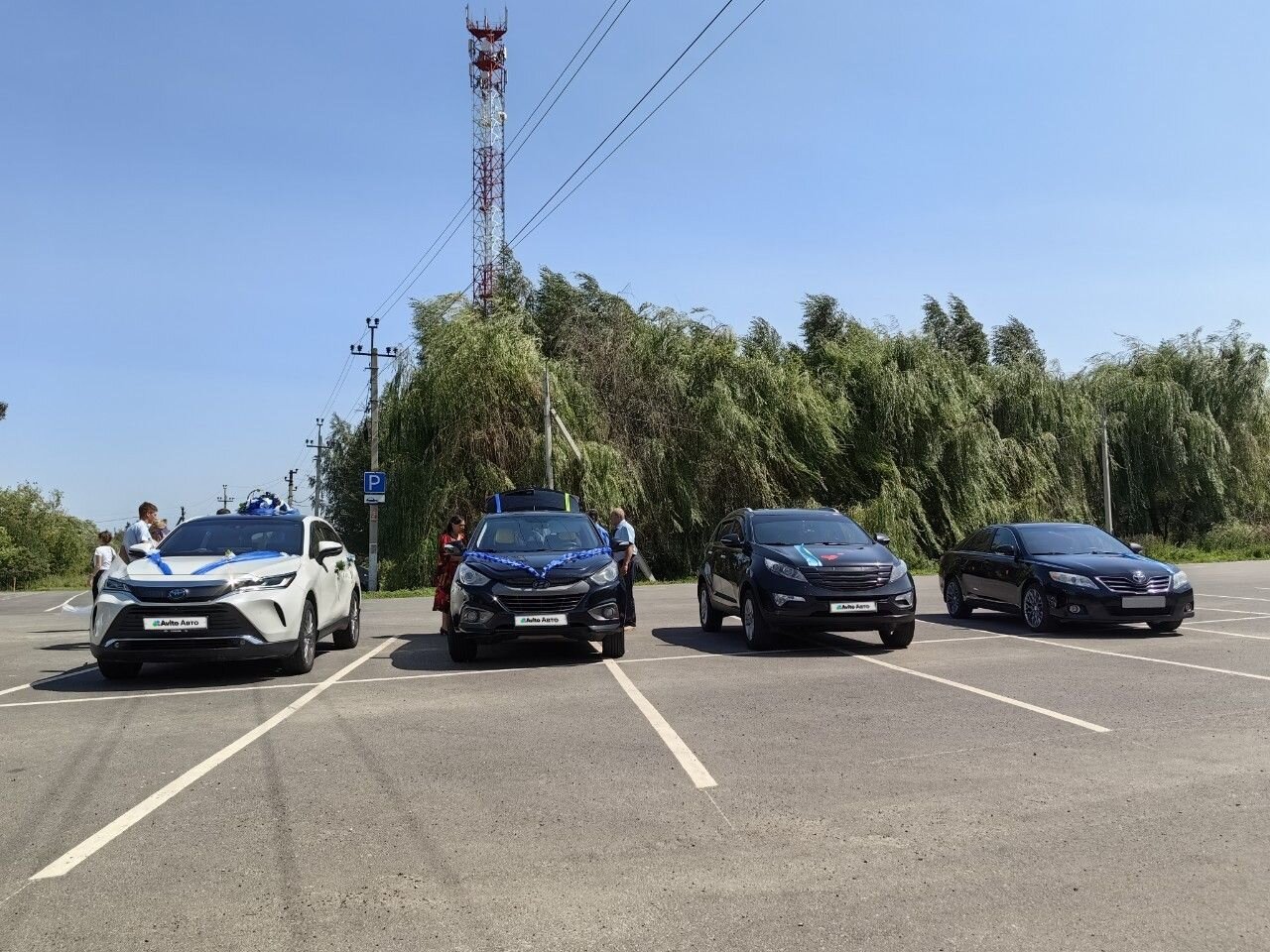 Toyota Harrier: фото владельца