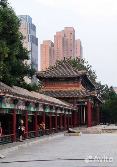 Репетитор по китайскому языку и английскому языкам