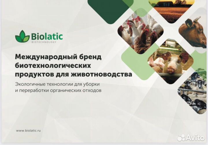 Biolatic бактерии для теплой подстилки, переработк