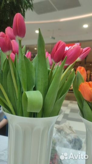Тюльпаны к праздникам