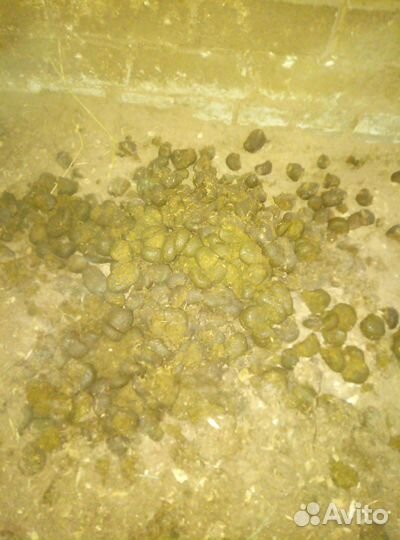 Перегной (навоз) коровий и конский в мешках