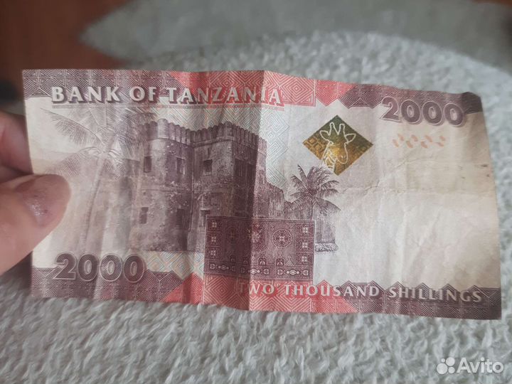 Купюра с Занзибара